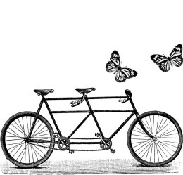 Stempel Rower Tandem