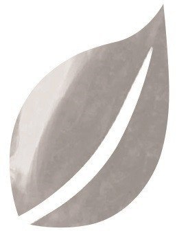 Farba naturalna Srebrna 80 ml Farba naturalna Srebrna 80 ml
