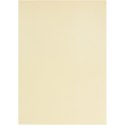 Papier Welinowy A4 100g 10ark. Naturalny