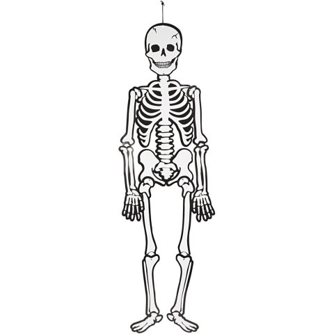 Szkielet z papieru 120 cm Fosforyzujący Szkielet z papieru 120 cm Fosforyzujący