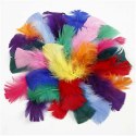 Piórka indycze Kolorowe 7-8 cm, 50 g