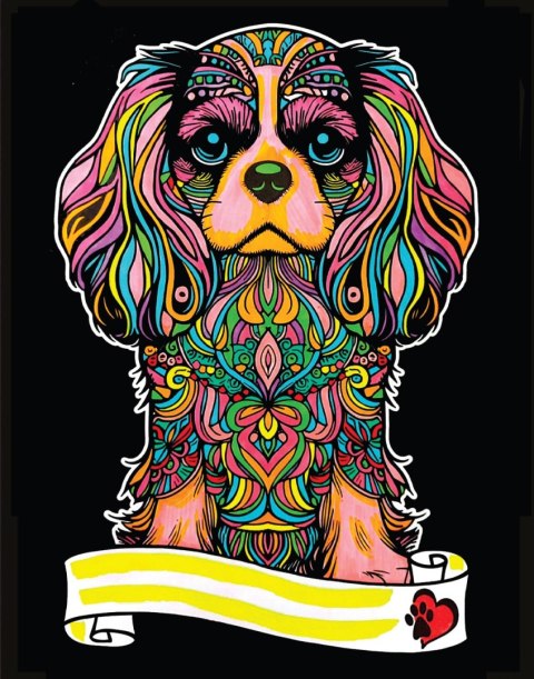 Kol. Welw. Cavalier King Charles Spaniel Kol. Welw. Cavalier King Charles Spaniel