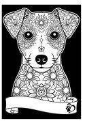 Kolorow. Welw. A4 Jack Russell Terrier Kolorow. Welw. A4 Jack Russell Terrier