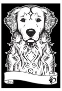 Kolorowanka Welw. A4 Golden Retriever Kolorowanka Welw. A4 Golden Retriever