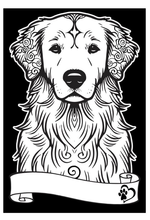 Kolorowanka Welw. A4 Golden Retriever Kolorowanka Welw. A4 Golden Retriever
