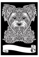 Kolorowanka Welw. A4 Yorkshire Terrier Kolorowanka Welw. A4 Yorkshire Terrier