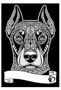 Kolorowanka Welwetowa A4 Doberman Kolorowanka Welwetowa A4 Doberman