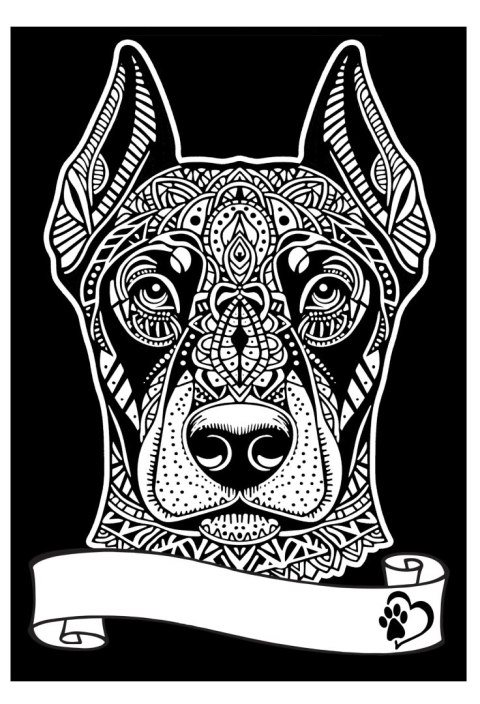 Kolorowanka Welwetowa A4 Doberman Kolorowanka Welwetowa A4 Doberman