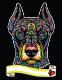 Kolorowanka Welwetowa A4 Doberman Kolorowanka Welwetowa A4 Doberman