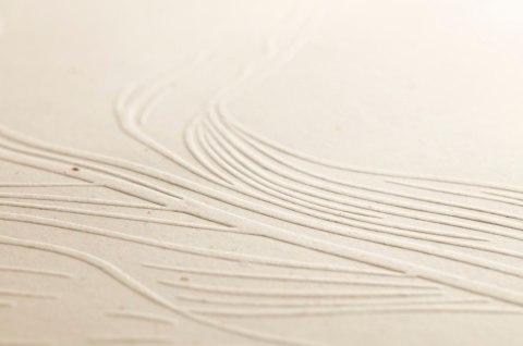 Notes na spirali A4 Tulip paper Notes na spirali A4 Tulip paper