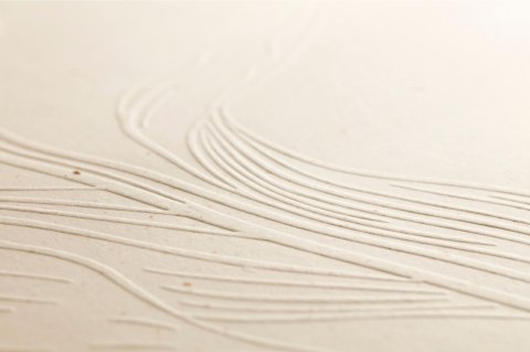 Zestaw z Notesem Tulip paper Zestaw z Notesem Tulip paper