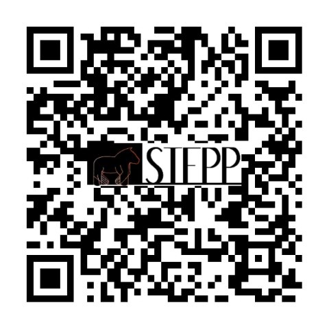 Kolorow. Welw. A4 Jack Russell Terrier