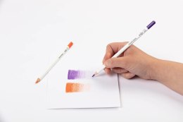 Kredki ołówkowe Darwi 36 kolorów