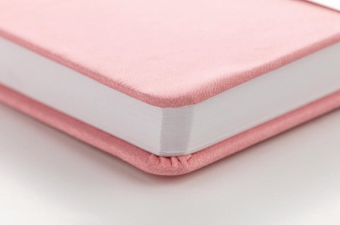 Szkicownik DARWI A4 140g Bladoróżowy