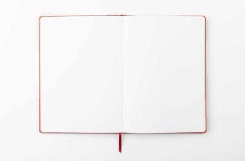 Szkicownik DARWI A4 140g Terakota