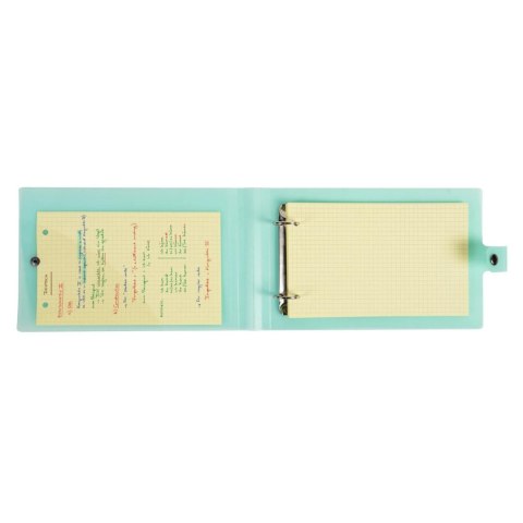 Segregator 2 ringi 160x265mm Pastelowy