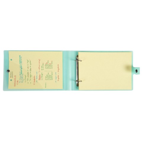 Segregator 2 ringi 160x265mm Pastelowy