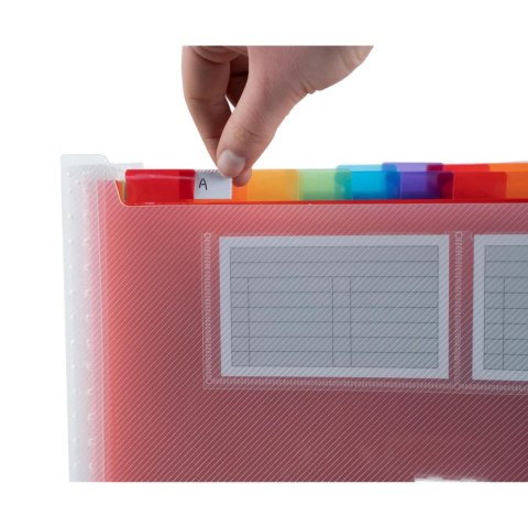 Teczka harmonijkowa 24 przeg. Przezr.